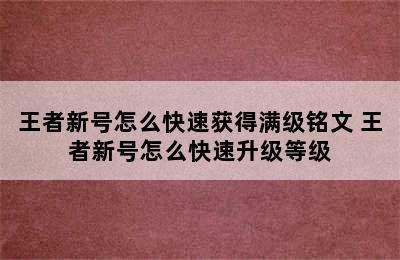 王者新号怎么快速获得满级铭文 王者新号怎么快速升级等级